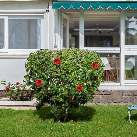 Apartamento White Summer In